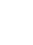 Siri icon