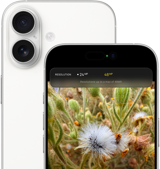 Egy fehér színű iPhone 17 hátulnézetből, lekerekített sarkokkal, bal felső sarkában a Dual Fusion kamerarendszerrel, elölnézetből a Dynamic Island és a lekerekített sarkok látszanak